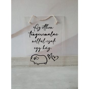 Az Otthon Tengerimalac nélkül csak egy ház