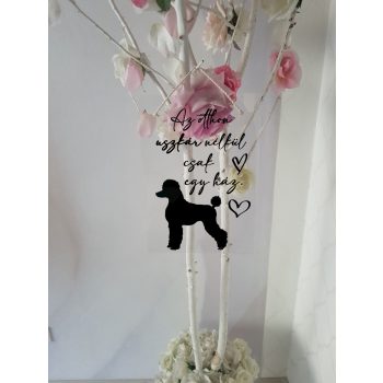 Az Otthon Uszkár Nélkül csak egy ház