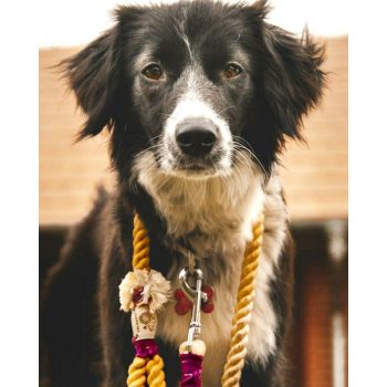 Pamut Normál Kötélpóráz Egyszínű