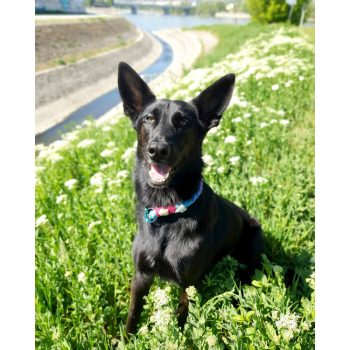 Pamut Nyakörv Színes Fojtó