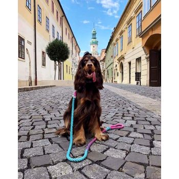 Pamut Normál Kötélpóráz Átmenetes